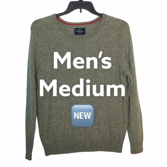American Eagle Outfitters M Medium 38 - 40 Sweater Light Brown Crewneck Wool NEW - Picture 2 of 8